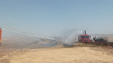 Siirt’te 100 ton buğday yangında kül oldu
