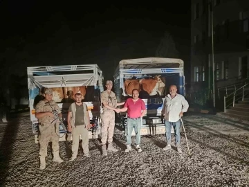 Siirt’te çaldığı büyükbaş hayvanı satarken yakalanan hırsız tutuklandı
