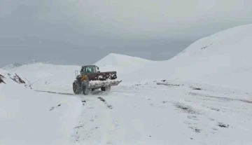 Siirt’te kar nedeniyle kapanan köy yolları ulaşıma açıldı
