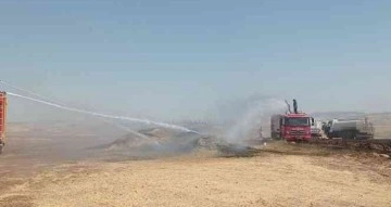 Siirt’te 100 ton buğday yangında kül oldu