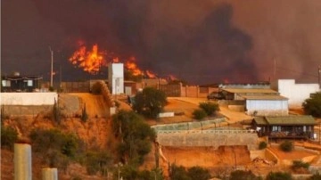 Şili’deki orman yangınları: 10 kişi öldü, OHAL ilan edildi