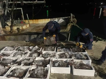 Sinop’ta 2 milyon lira değerinde kaçak kalkan balığı ele geçirildi
