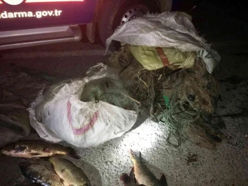 Sinop’ta yasak avcılık yapan iki şahıs 40 kilo sazanla yakalandı
