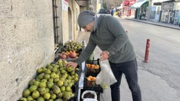Sinop'ta kış armudunun kilosu 50 liradan satılıyor