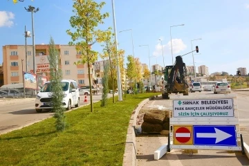 Şırnak belediyesi yeşillendirme çalışmaları başlattı
