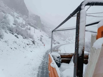Şırnak’ta kar nedeniyle kapanan yolları açma çalışmaları başladı
