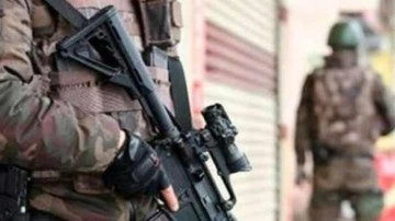 Şırnak’ta terör operasyonu: 9 gözaltı
