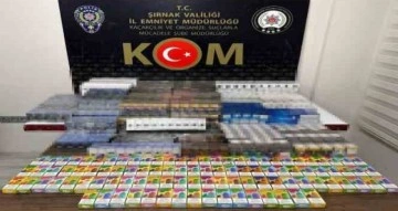Şırnak’ta terörün finans kaynaklarına operasyon: 59 gözaltı