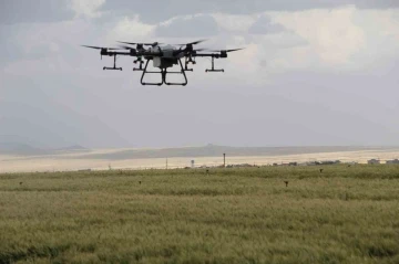 Sökeli üreticilere drone ile ilaçlama uyarısı
