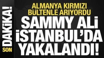 Son dakika... Almanya kırmızı bültenle arıyordu: Sammy Ali İstanbul'da yakalandı!