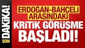 Son dakika: Erdoğan-Bahçeli arasındaki kritik görüşme başladı!