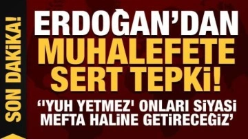 Son Dakika.... Erdoğan'dan muhalefete sert tepki: Onları siyasi mefta haline getireceğiz!