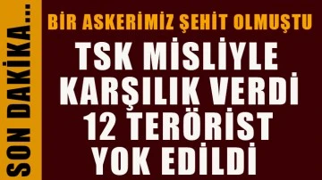 Suruç'ta bir askerin şehit olduğu saldırıya TSK karşılık verdi: 12 terörist etkisiz!