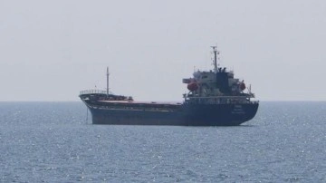 Tahıl yüklü bir gemi daha Ukrayna'dan hareket etti