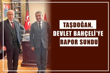 Taşdoğan, Devlet Bahçeli’ye rapor sundu