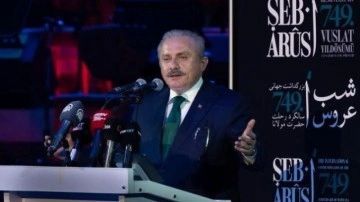 TBMM Başkanı Mustafa Şentop: Mevlana İslamsızlaştırılamaz