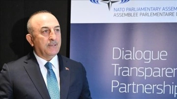 TBMM NATO Parlamenter Asamblesi Başkanı Çavuşoğlu, Brüksel'de Müttefiklere İsrail'i Durdurma Çağrısı Yaptı