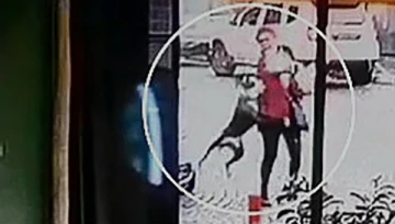 Tekirdağ’da pitbull dehşeti kamerada: Hem ona hem de köpeğine saldırdı
