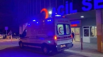 Tercan'da Korkunç Trafik Kazası: 7 Yaralı!