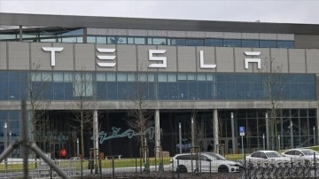 Tesla Fabrikası Genişleme Planı Protesto Edildi