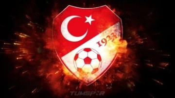 TFF'den Disiplin Cezaları: Süper Lig ve 1. Lig Kulüpleri İhlaller Nedeniyle Ceza Aldı