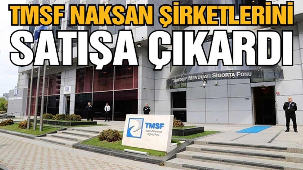 TMSF Naksan şirketlerini satışa çıkardı