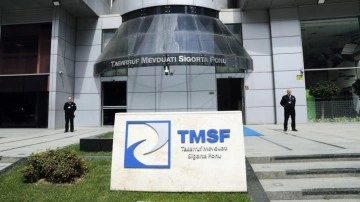 TMSF'den 103 milyon liralık satış