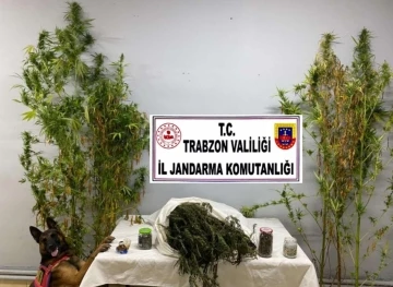 Trabzon’da uyuşturucu operasyon: 3 gözaltı
