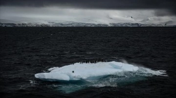 TÜBİTAK Destekli Projede Antarktika Bölgesindeki Kirleticiler İncelenecek