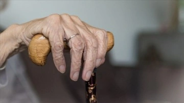 TÜİK, 2023 Yılına Ait Yaşlı Nüfus İstatistiklerini Açıkladı