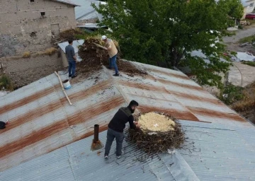 Tunceli’de örnek davranış: Hasarlı binaların çatılarındaki leylek yuvaları güvenli yere taşındı
