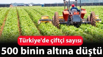 Türkiye'de çiftçi sayısı 500 binin altına düştü