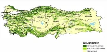 Türkiye'nin en yeşil kentleri