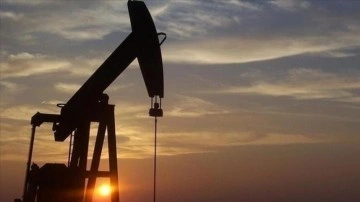 Türkiye'nin Petrol Piyasası Raporu Açıklandı