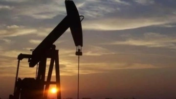 Türkiye'nin petrol ithalatı geçen yıl kasımda azaldı