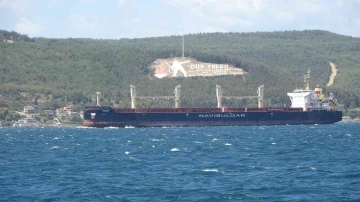 Ukrayna’dan yola çıkan mısır yüklü ‘Rojen’ isimli tahıl gemisi Çanakkale Boğazı’ndan geçti
