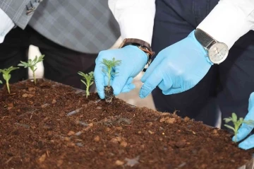 Uşak Belediyesi ata tohumlarının devamlılığını sağlıyor
