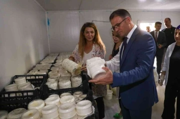 Vali Ozan Balcı, Van otlu peynirini mayaladı
