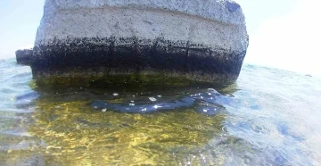 Van Gölü’nde Kayı tamgalı ve haç işaretli taşlar bulundu
