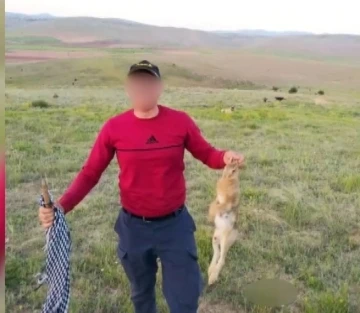 Vurdukları tavşanı köpeklere parçalattırıp sosyal medyada paylaştılar
