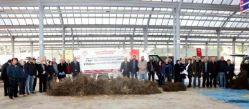 Yalova’da çiftçilere Trabzon hurması ve ceviz fidanı dağıtıldı

