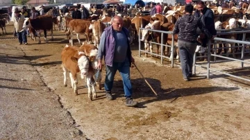 Yasakların ardından Yozgat’ta canlı hayvan pazarlarında yoğunluk sürüyor
