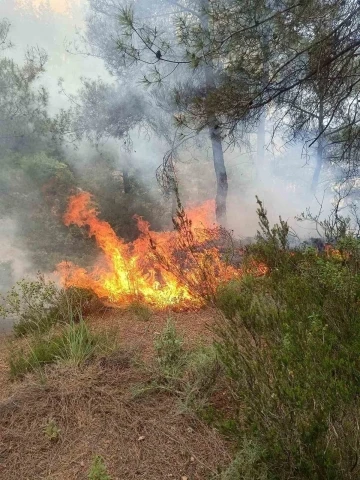 Yayladağı’nda ormanlık alanda çıkan yangın söndürüldü

