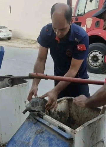Yeraltı çöp konteynerine atılan kaplumbağayı itfaiye ekipleri kurtardı

