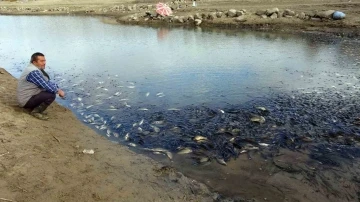 Yozgat’ta sulama barajında toplu balık ölümleri yaşandı
