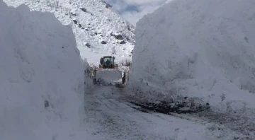 Yüksekova’da 5 metreyi geçen kar tünellerinde çalışma
