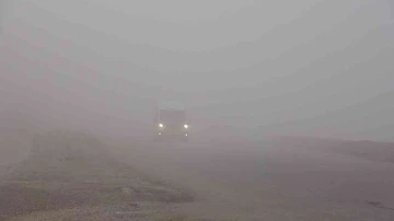 Yüksekova’da yoğun sis: Görüş mesafesi 5 metreye düştü
