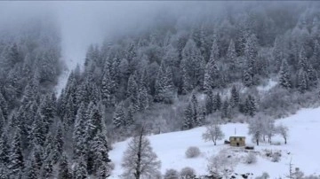 Zigana Dağı'nda kar ve sis etkili oluyor