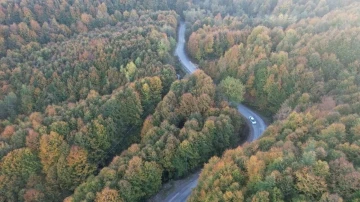 Zonguldak’ta 30 Eylül’e kadar ormanlara giriş yasaklandı

