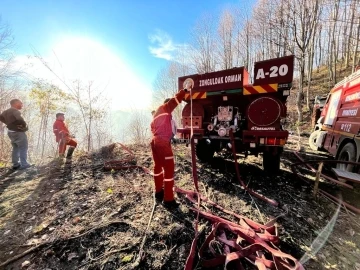 Zonguldak’ta orman yangını büyümeden söndürüldü
